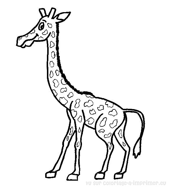 Dibujo para colorear: Jirafa (Animales) #7386 - Dibujos para Colorear e Imprimir Gratis