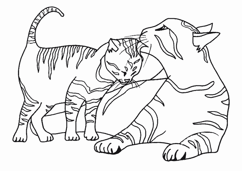 Dibujo para colorear: Kitten (Animales) #18027 - Dibujos para Colorear e Imprimir Gratis