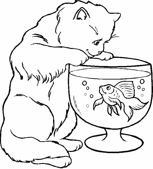Dibujo para colorear: Kitten (Animales) #18028 - Dibujos para Colorear e Imprimir Gratis