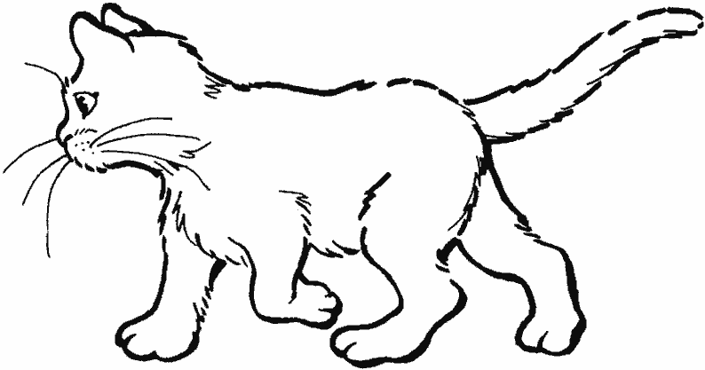 Dibujo para colorear: Kitten (Animales) #18029 - Dibujos para Colorear e Imprimir Gratis