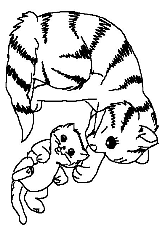 Dibujo para colorear: Kitten (Animales) #18065 - Dibujos para Colorear e Imprimir Gratis