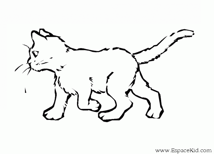 Dibujo para colorear: Kitten (Animales) #18067 - Dibujos para Colorear e Imprimir Gratis
