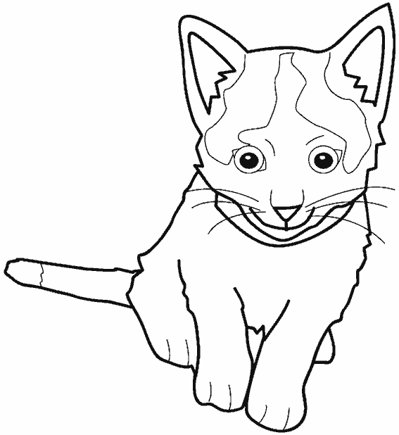 Dibujo para colorear: Kitten (Animales) #18081 - Dibujos para Colorear e Imprimir Gratis