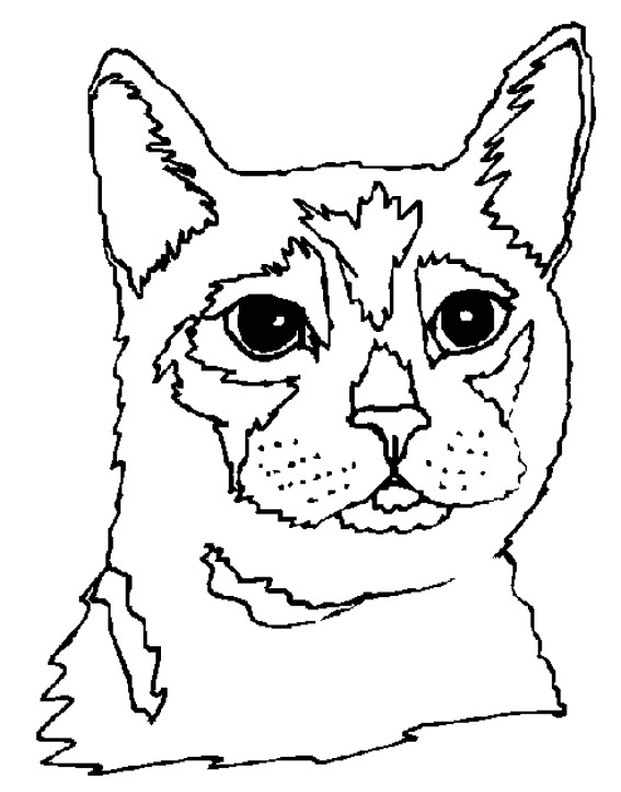 Dibujo para colorear: Kitten (Animales) #18082 - Dibujos para Colorear e Imprimir Gratis