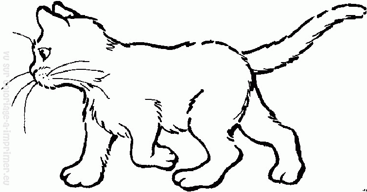 Dibujo para colorear: Kitten (Animales) #18112 - Dibujos para Colorear e Imprimir Gratis