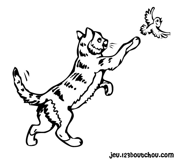 Dibujo para colorear: Kitten (Animales) #18114 - Dibujos para Colorear e Imprimir Gratis