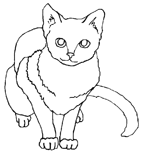Dibujo para colorear: Kitten (Animales) #18143 - Dibujos para Colorear e Imprimir Gratis