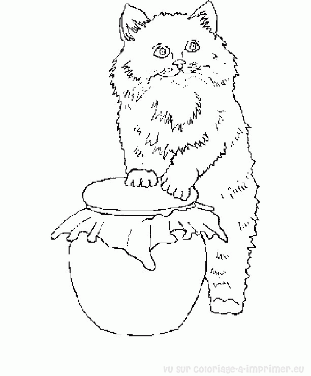 Dibujo para colorear: Kitten (Animales) #18172 - Dibujos para Colorear e Imprimir Gratis