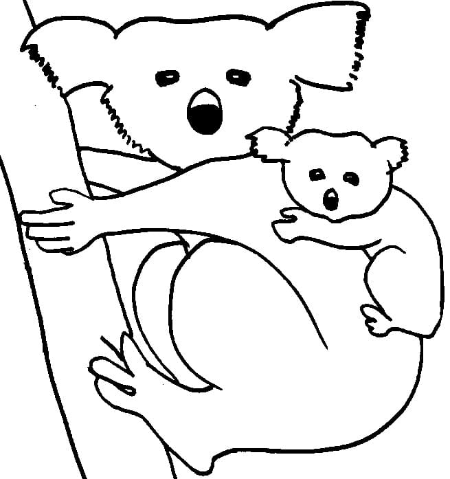 Dibujo gratuito Koala #178790 de la coleccion Animales para imprimir Dibujo gratuito Koala #178790 de la coleccion Animales para imprimir