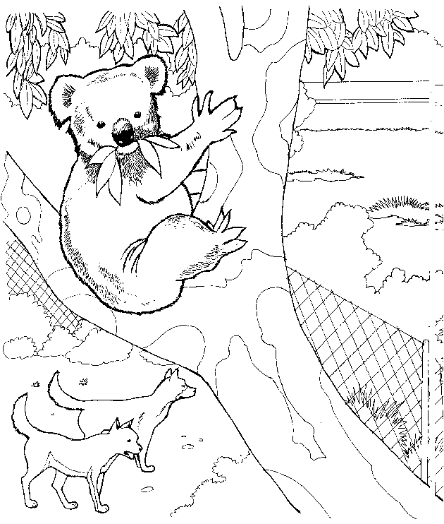 Dibujo para colorear: Koala (Animales) #9307 - Dibujos para Colorear e Imprimir Gratis