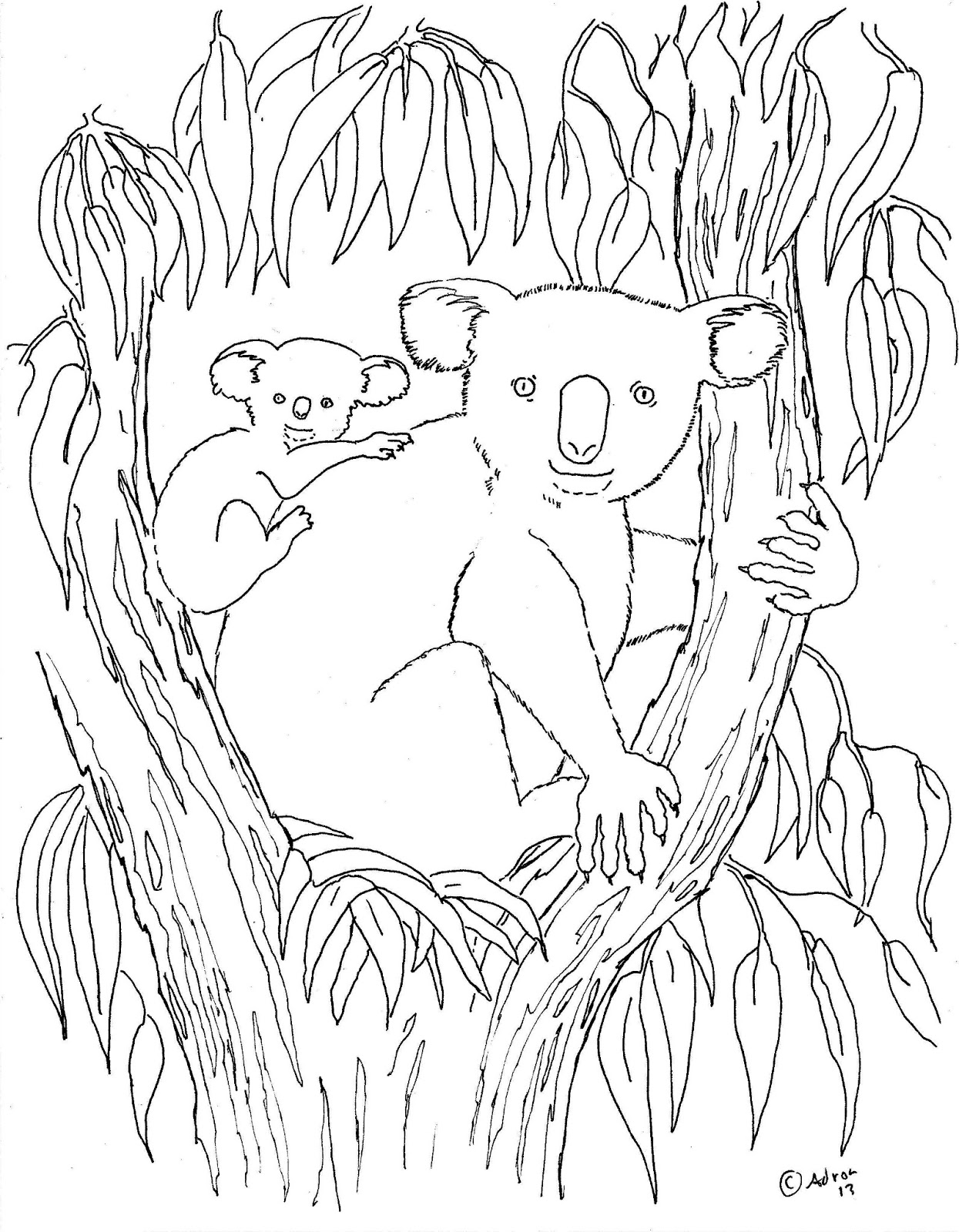 Dibujo para colorear: Koala (Animales) #9310 - Dibujos para Colorear e Imprimir Gratis