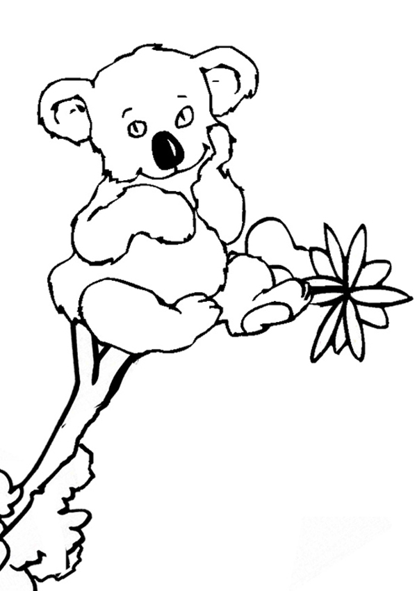 Dibujo para colorear: Koala (Animales) #9325 - Dibujos para Colorear e Imprimir Gratis