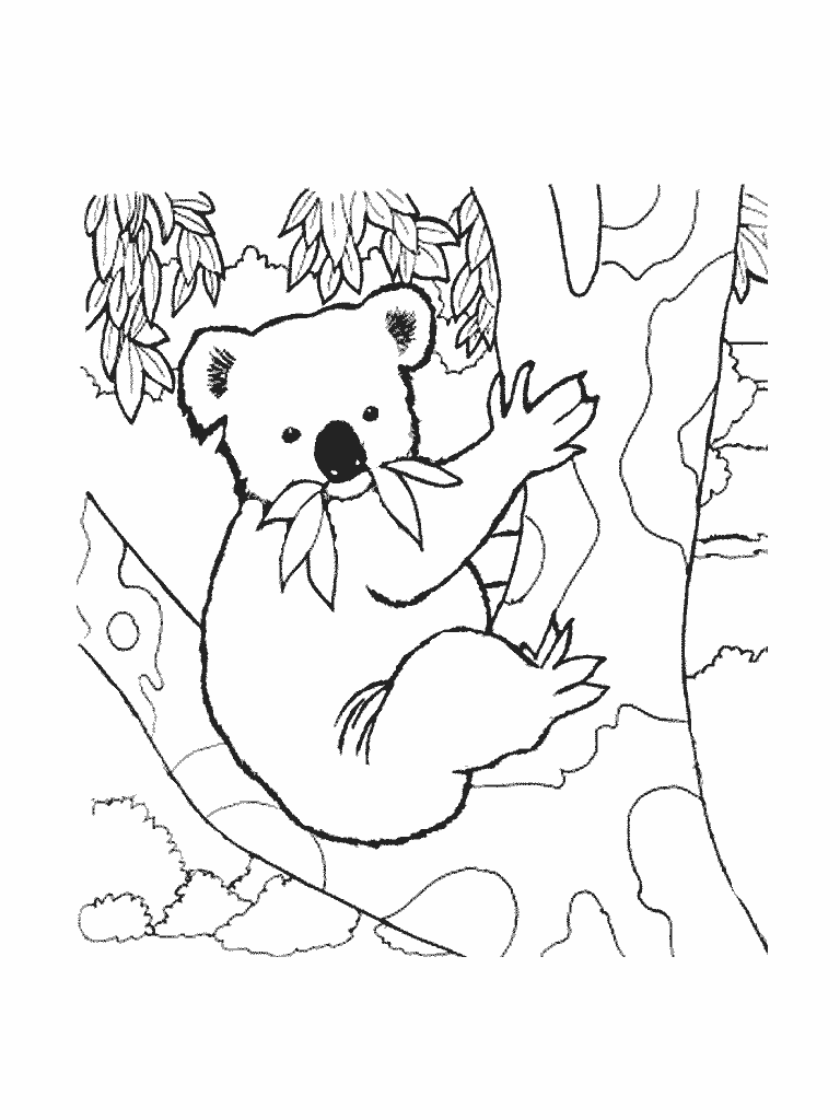 Dibujo para colorear: Koala (Animales) #9337 - Dibujos para Colorear e Imprimir Gratis