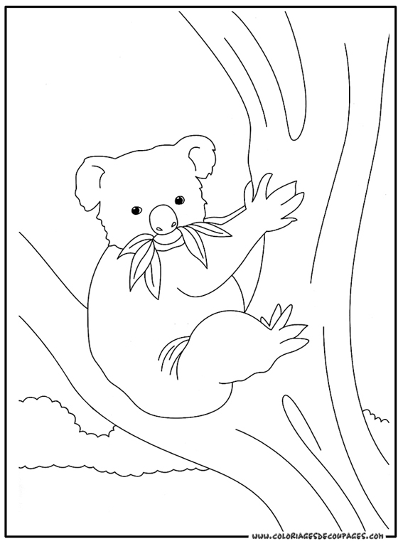 Dibujo para colorear: Koala (Animales) #9342 - Dibujos para Colorear e Imprimir Gratis