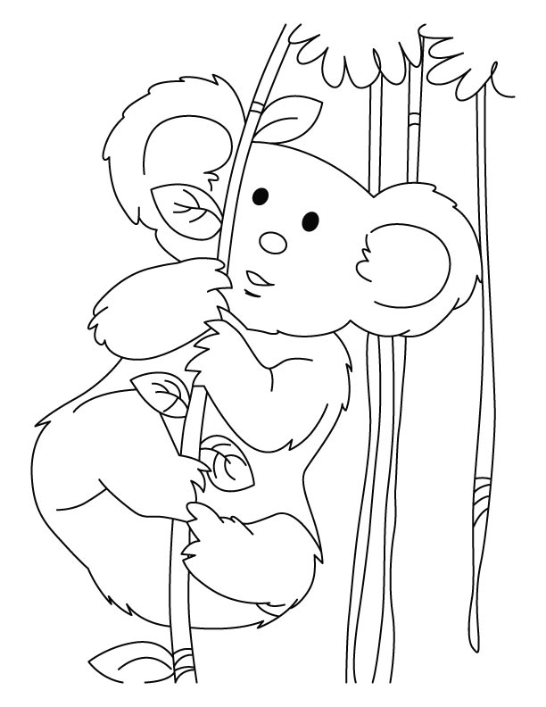 Dibujo para colorear: Koala (Animales) #9345 - Dibujos para Colorear e Imprimir Gratis