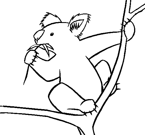 Dibujo para colorear: Koala (Animales) #9356 - Dibujos para Colorear e Imprimir Gratis