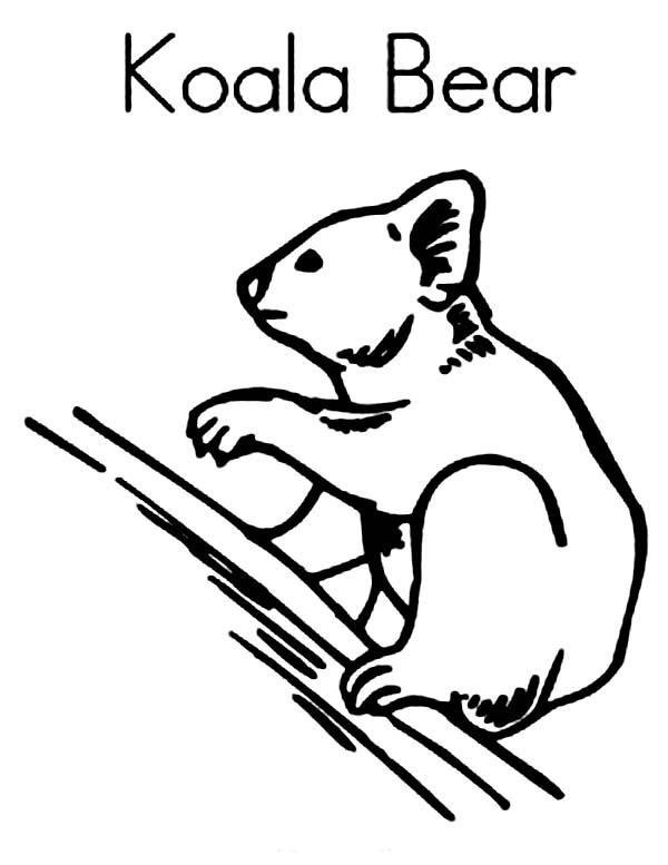 Dibujo para colorear: Koala (Animales) #9444 - Dibujos para Colorear e Imprimir Gratis