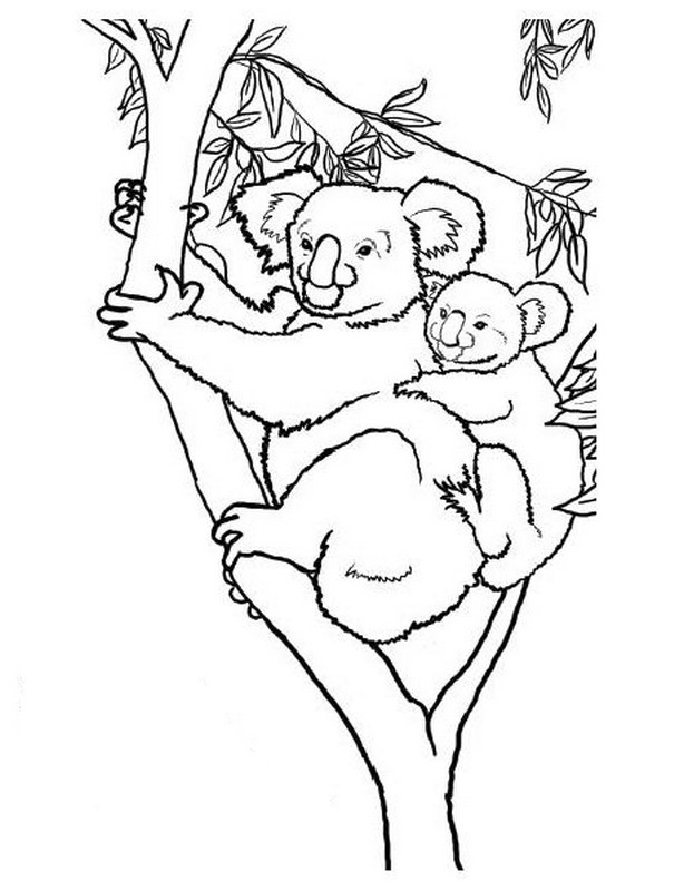 Dibujo para colorear: Koala (Animales) #9452 - Dibujos para Colorear e Imprimir Gratis