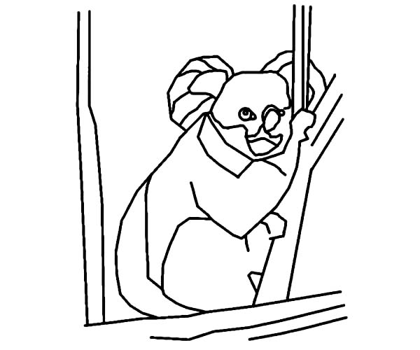 Dibujo para colorear: Koala (Animales) #9457 - Dibujos para Colorear e Imprimir Gratis