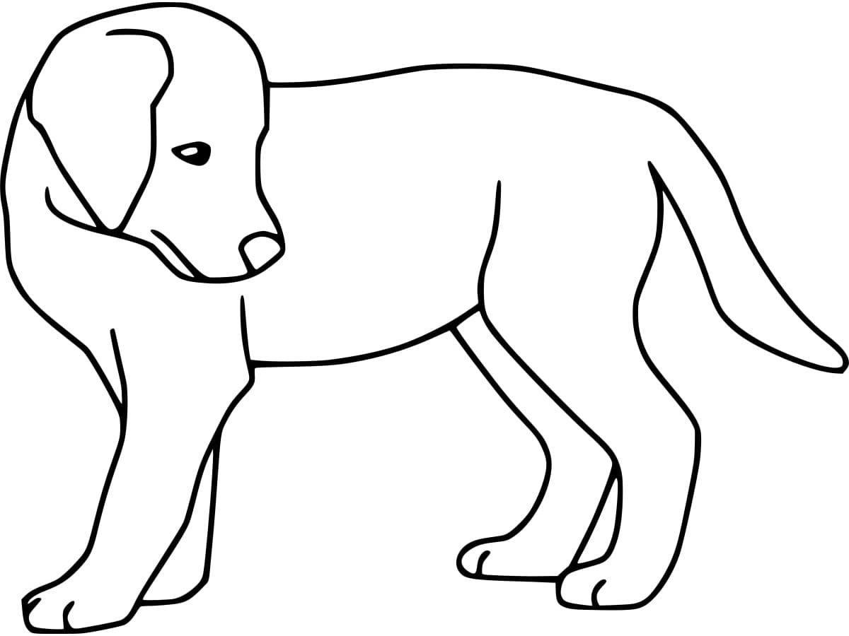 Dibujo gratuito Labrador #220750 de la coleccion Animales para imprimir