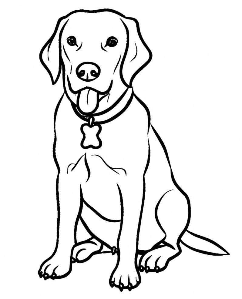 Dibujo gratuito Labrador #220751 de la coleccion Animales para imprimir