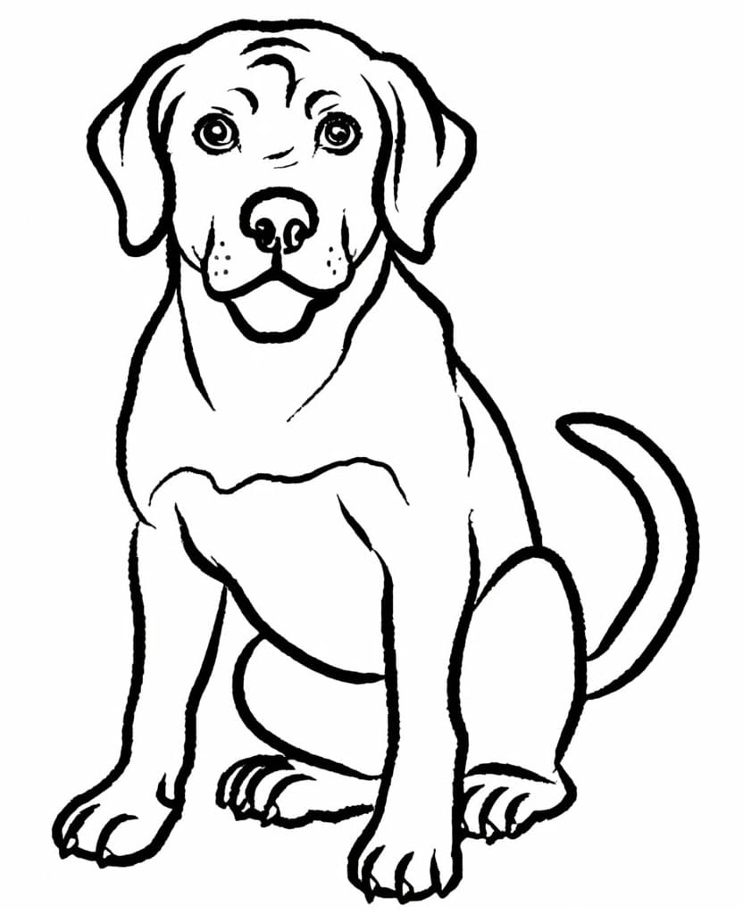 Dibujo gratuito Labrador #220752 de la coleccion Animales para imprimir Dibujo gratuito Labrador #220752 de la coleccion Animales para imprimir