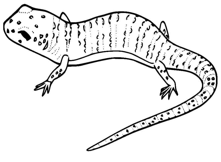 Dibujo gratuito Lagarto #179642 de la coleccion Animales para imprimir