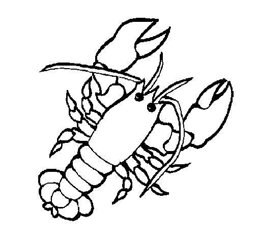 Dibujo para colorear: Langosta (Animales) #22498 - Dibujos para Colorear e Imprimir Gratis