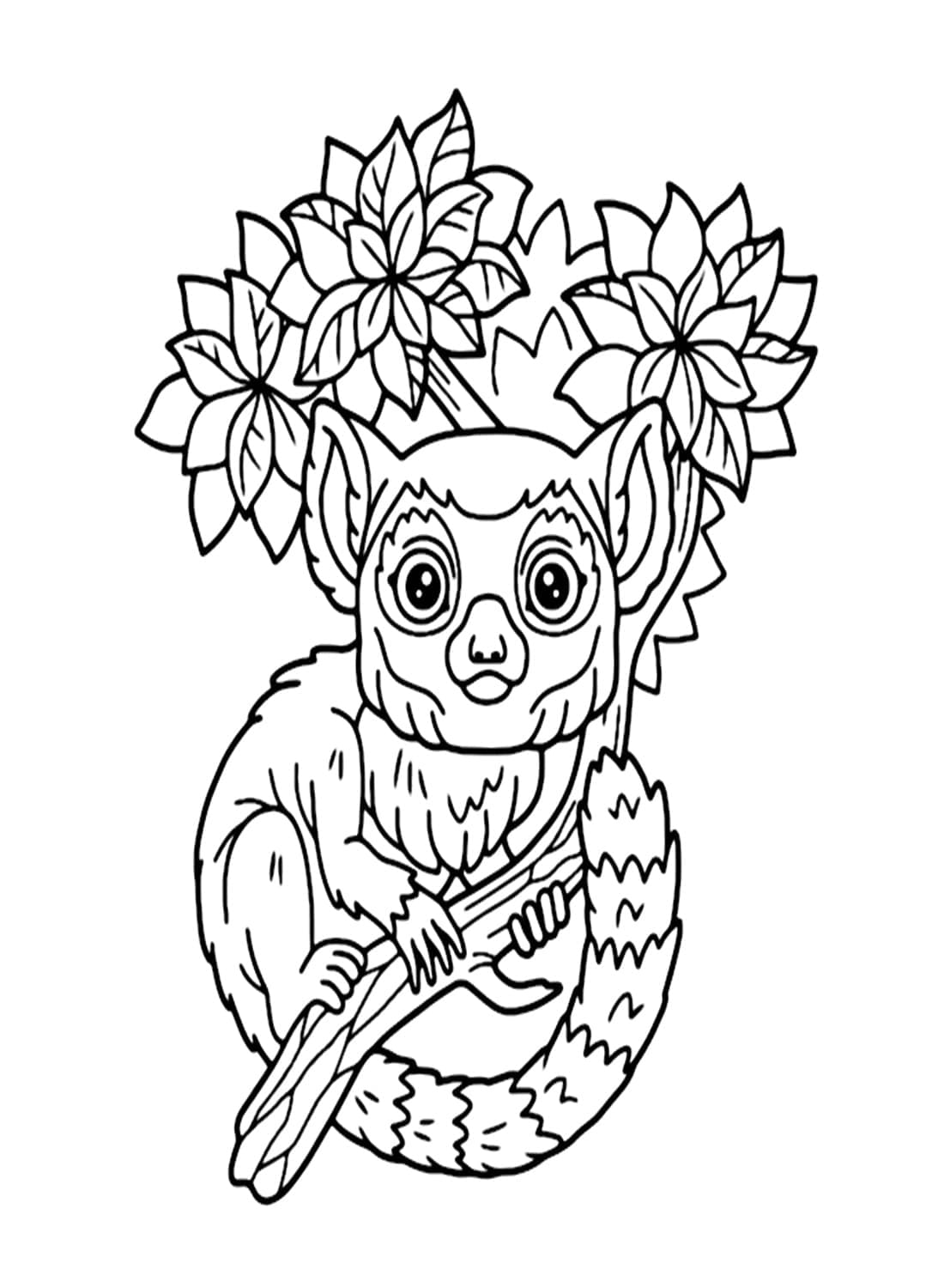 Dibujo gratuito Lémur #219666 de la coleccion Animales para imprimir