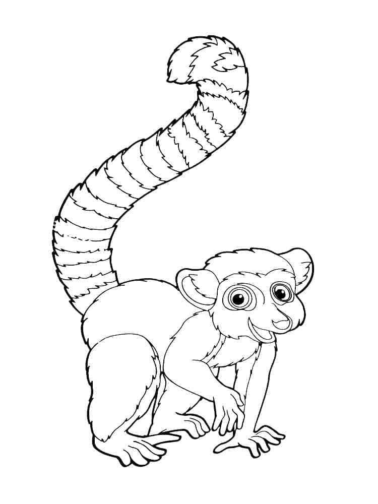Dibujo gratuito Lémur #219685 de la coleccion Animales para imprimir