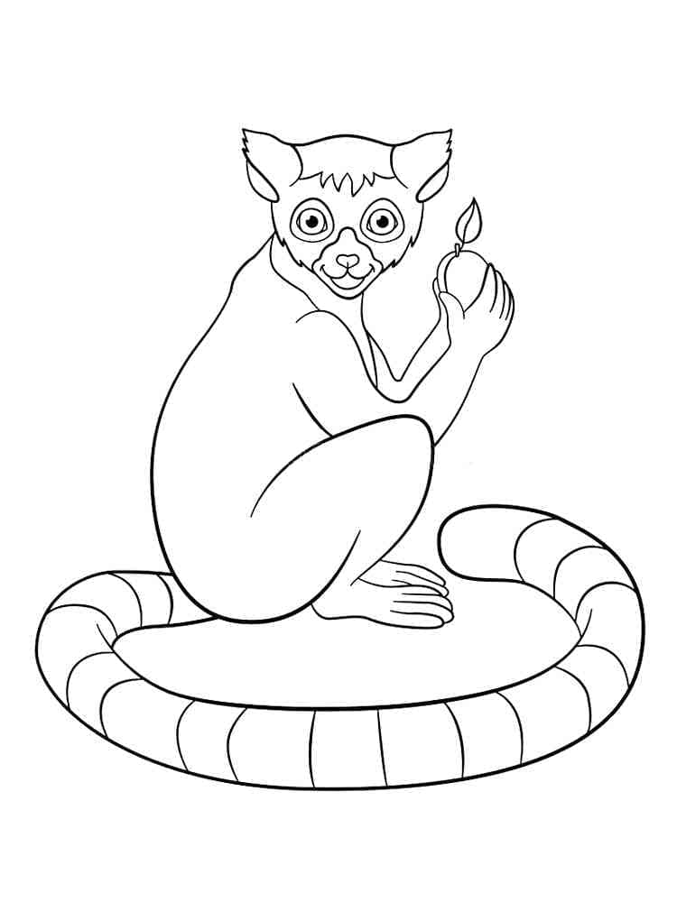 Dibujo gratuito Lémur #219687 de la coleccion Animales para imprimir