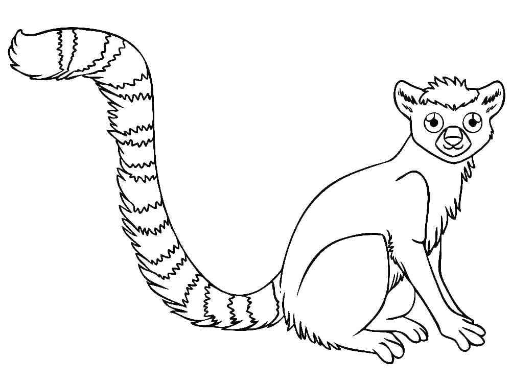 Dibujo gratuito Lémur #219689 de la coleccion Animales para imprimir