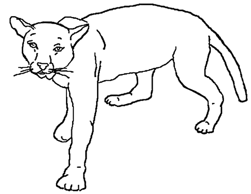 Dibujo para colorear: León (Animales) #10388 - Dibujos para Colorear e Imprimir Gratis