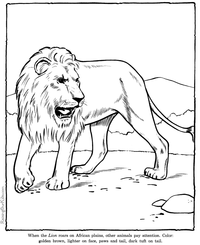 Dibujo para colorear: León (Animales) #10399 - Dibujos para Colorear e Imprimir Gratis