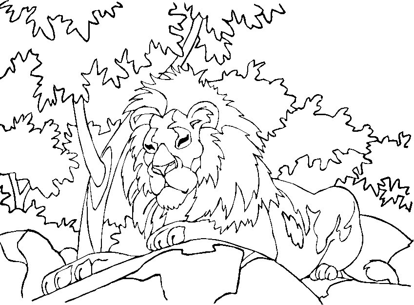 Dibujo para colorear: León (Animales) #10418 - Dibujos para Colorear e Imprimir Gratis