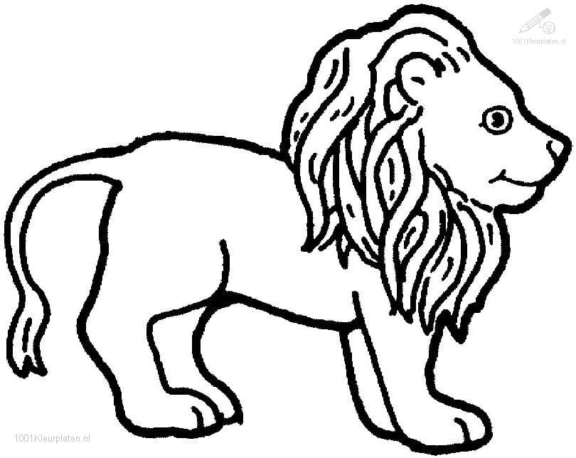 Dibujo gratuito León #174865 de la coleccion Animales para imprimir Dibujo gratuito León #174865 de la coleccion Animales para imprimir