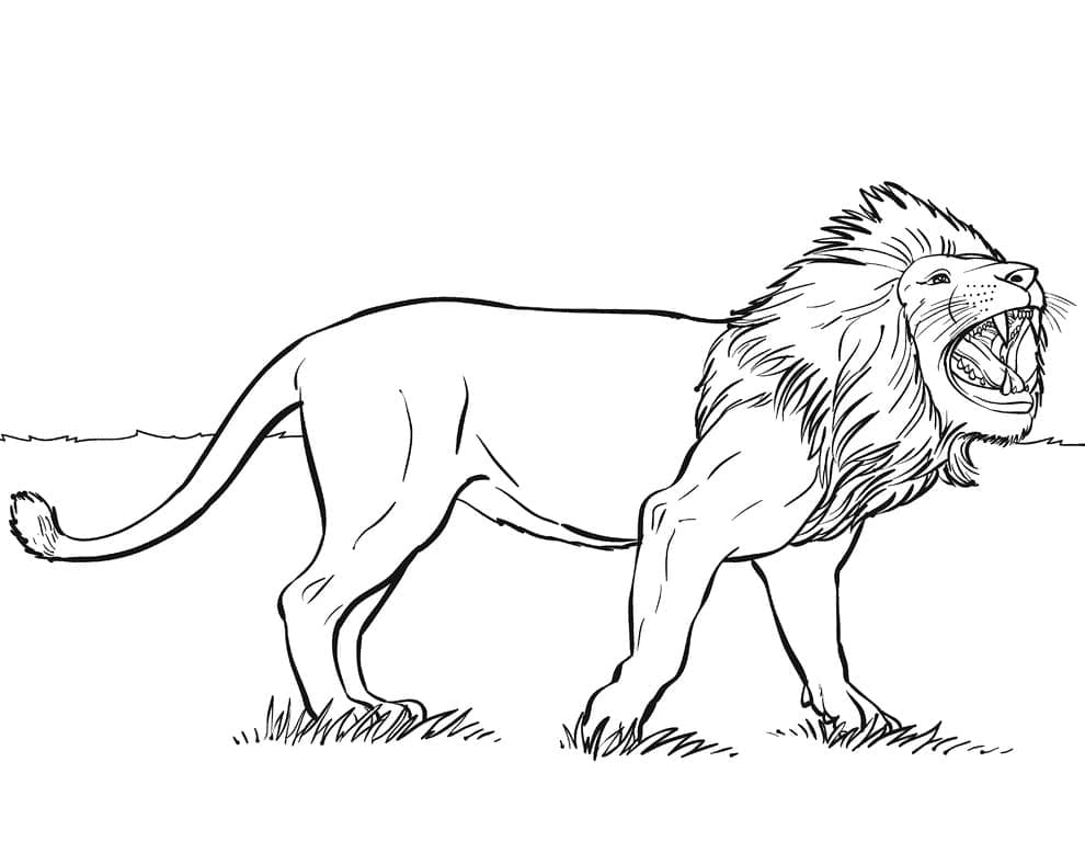 Dibujo gratuito León #174883 de la coleccion Animales para imprimir