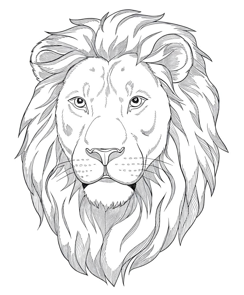 Dibujo gratuito León #218692 de la coleccion Animales para imprimir