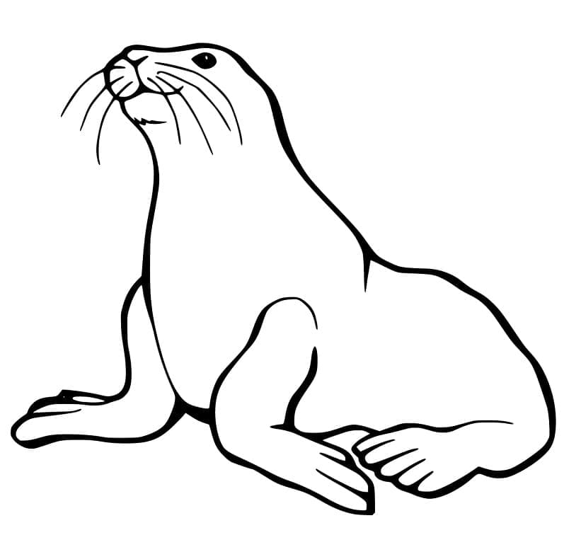 Dibujo gratuito León Marino #192523 de la coleccion Animales para imprimir
