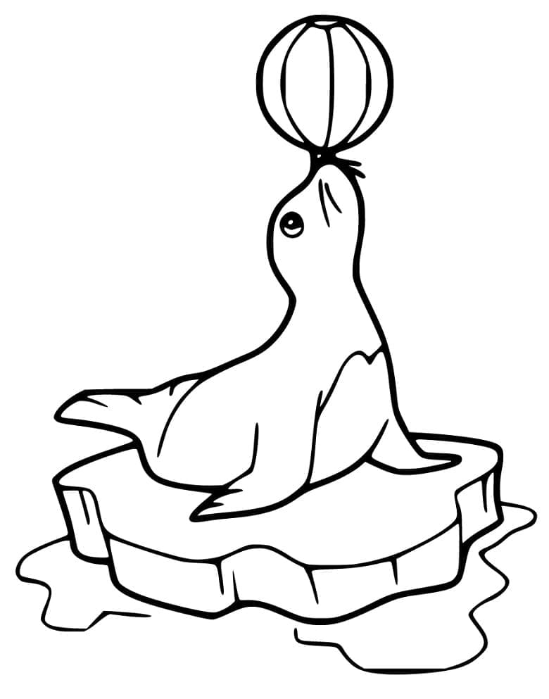 Dibujo gratuito León Marino #192538 de la coleccion Animales para imprimir