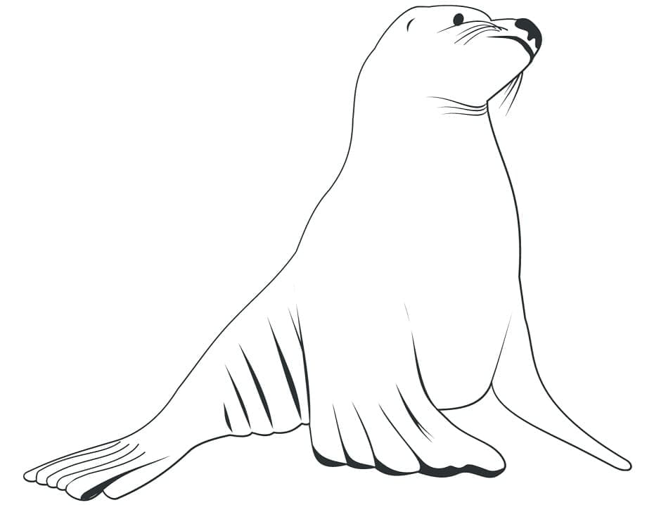Dibujo gratuito León Marino #192541 de la coleccion Animales para imprimir Dibujo gratuito León Marino #192541 de la coleccion Animales para imprimir