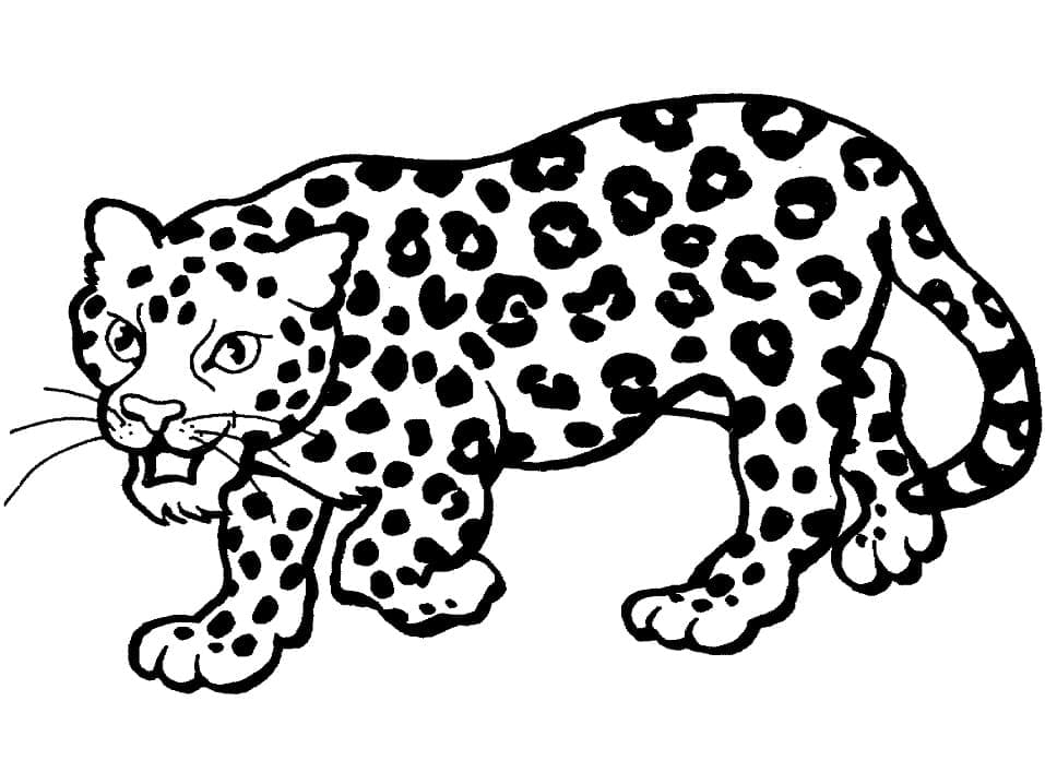 Dibujo gratuito Leopardo #189149 de la coleccion Animales para imprimir Dibujo gratuito Leopardo #189149 de la coleccion Animales para imprimir