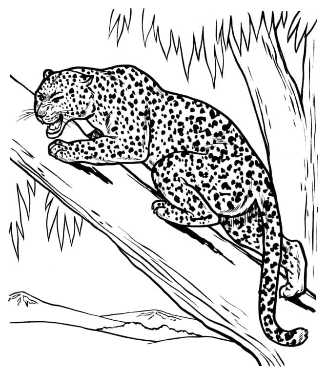 Dibujo gratuito Leopardo #189161 de la coleccion Animales para imprimir