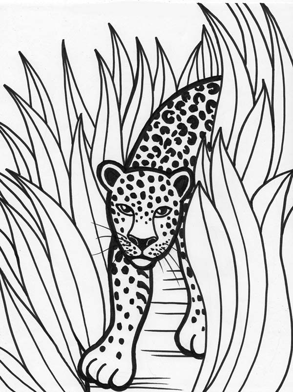 Dibujo para colorear: Leopardo (Animales) #9825 - Dibujos para Colorear e Imprimir Gratis