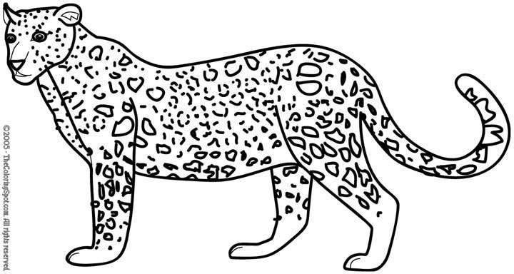 Dibujo para colorear: Leopardo (Animales) #9869 - Dibujos para Colorear e Imprimir Gratis
