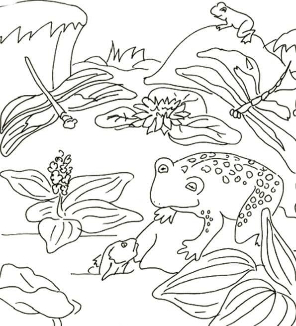 Dibujo gratuito Libélula #196537 de la coleccion Animales para imprimir