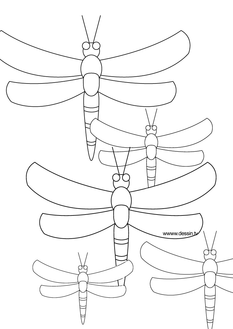 Dibujo para colorear: Libélula (Animales) #9903 - Dibujos para Colorear e Imprimir Gratis