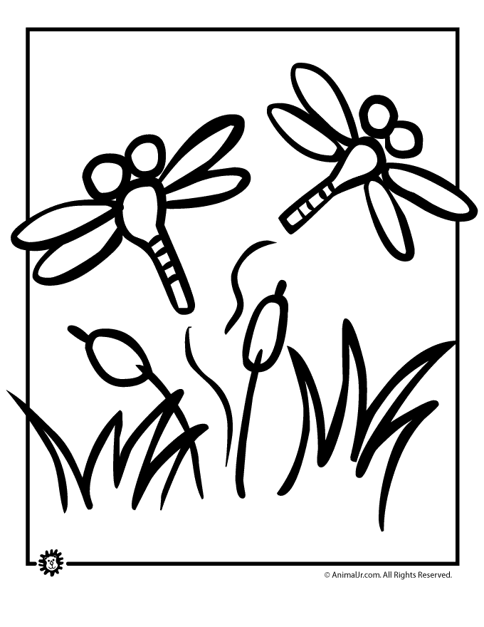 Dibujo para colorear: Libélula (Animales) #9988 - Dibujos para Colorear e Imprimir Gratis