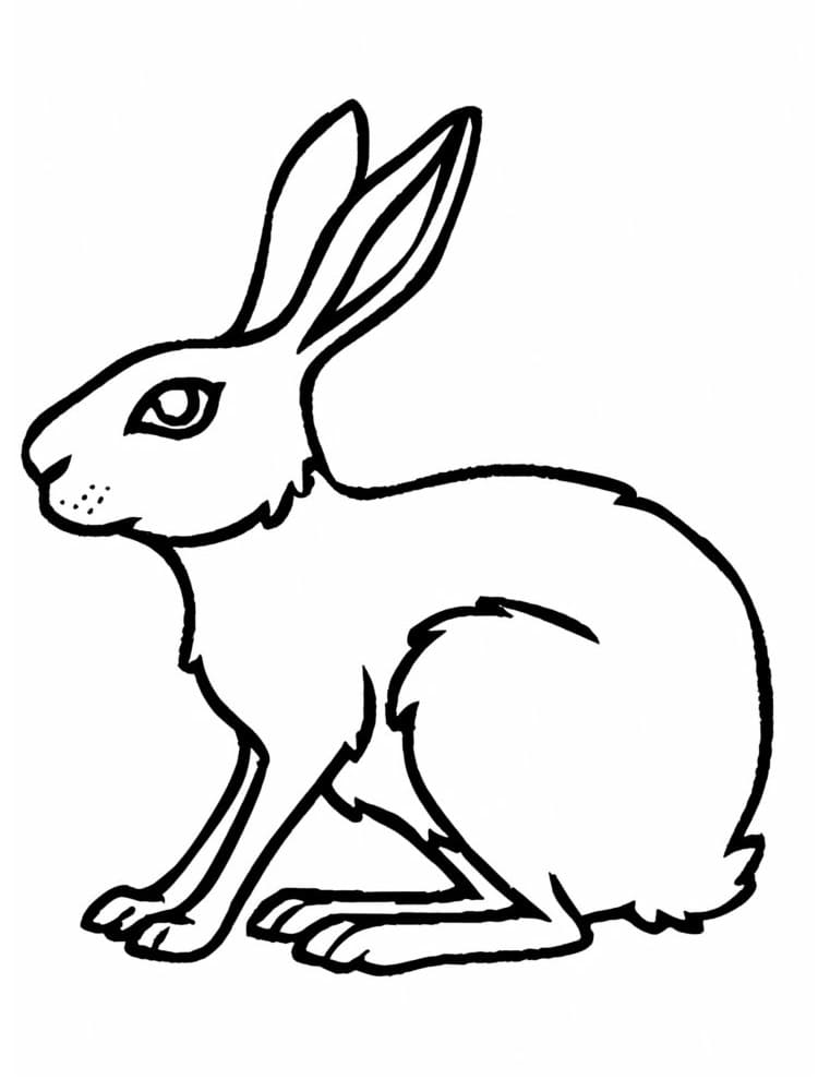 Dibujo gratuito Liebre #209015 de la coleccion Animales para imprimir