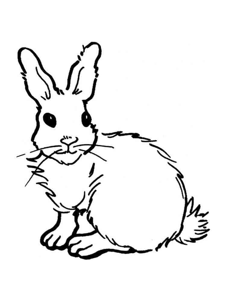 Dibujo gratuito Liebre #209019 de la coleccion Animales para imprimir